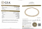 11–13 mm goldene Südseeperlenkette – GIA-zertifiziert – Zweites Bild