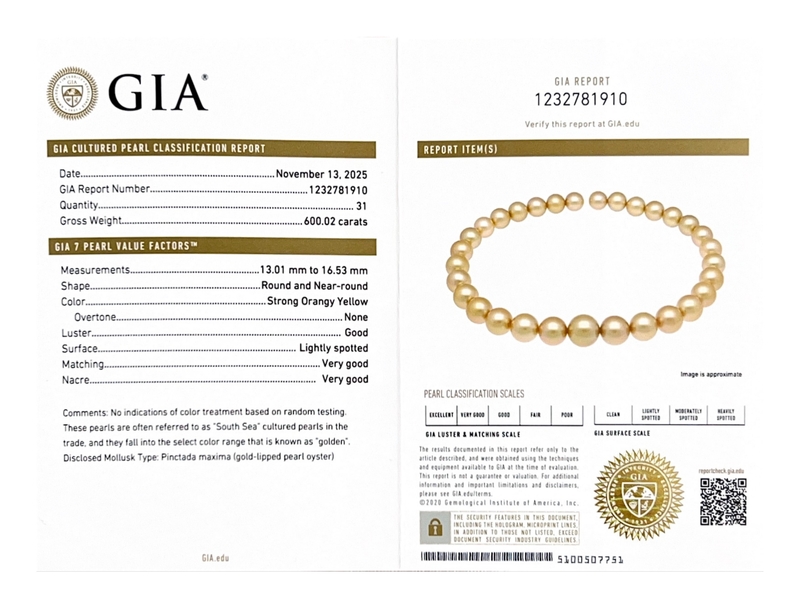 Halskette aus goldenen, runden Südseeperlen (13–16 mm) – GIA-zertifiziert – Modellbild