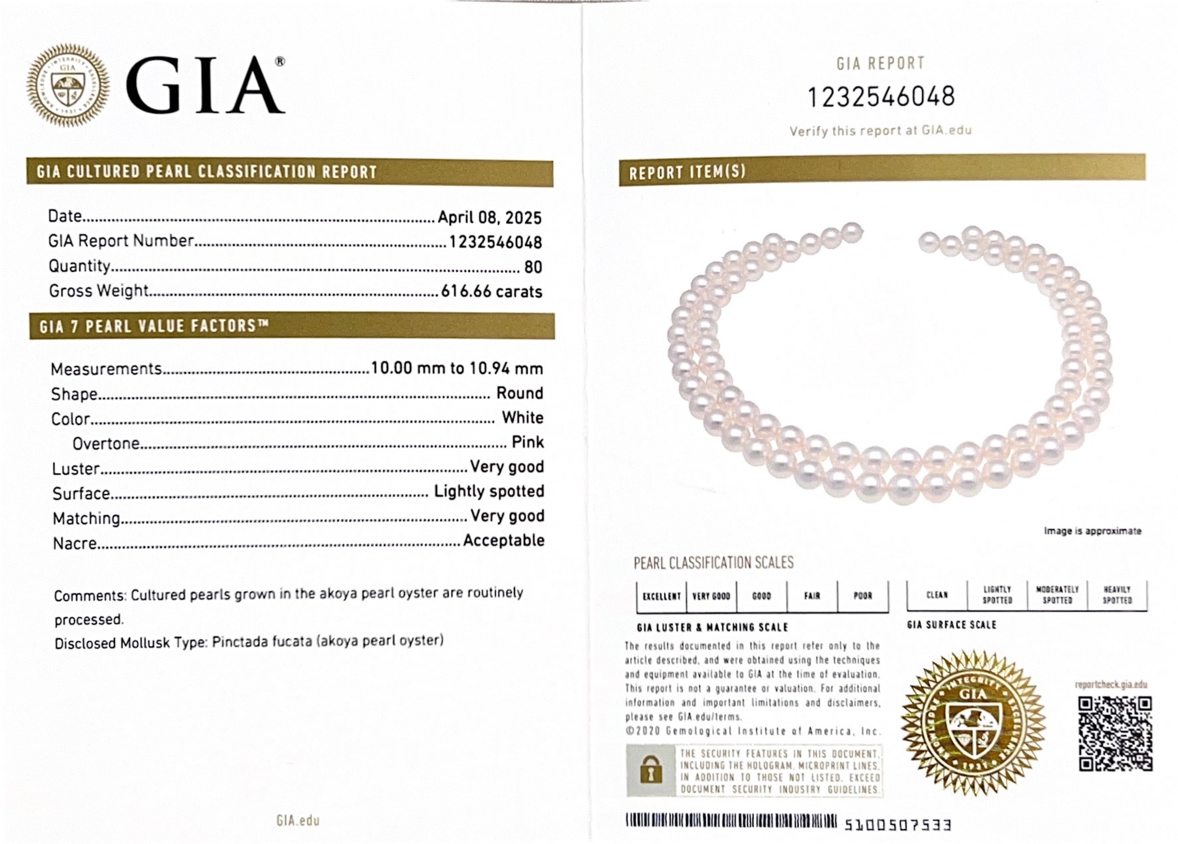 Opernlange Akoya-Weißperlenkette, 10,0–10,9 mm – GIA-zertifiziert – Drittes Bild